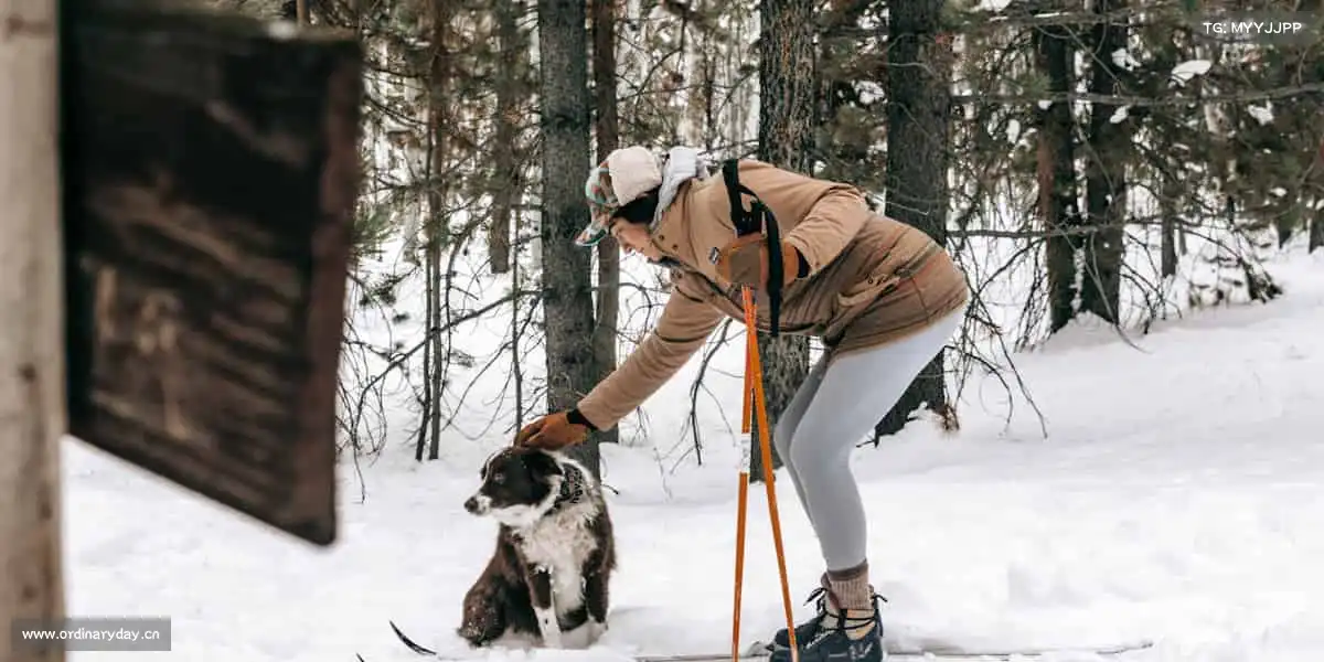 我们的品牌价值